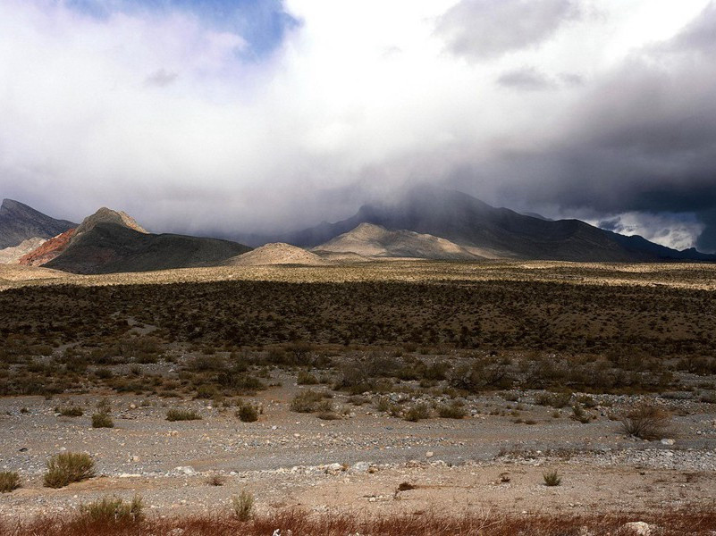 5岁女孩有解绑绝技-奇特的孩童