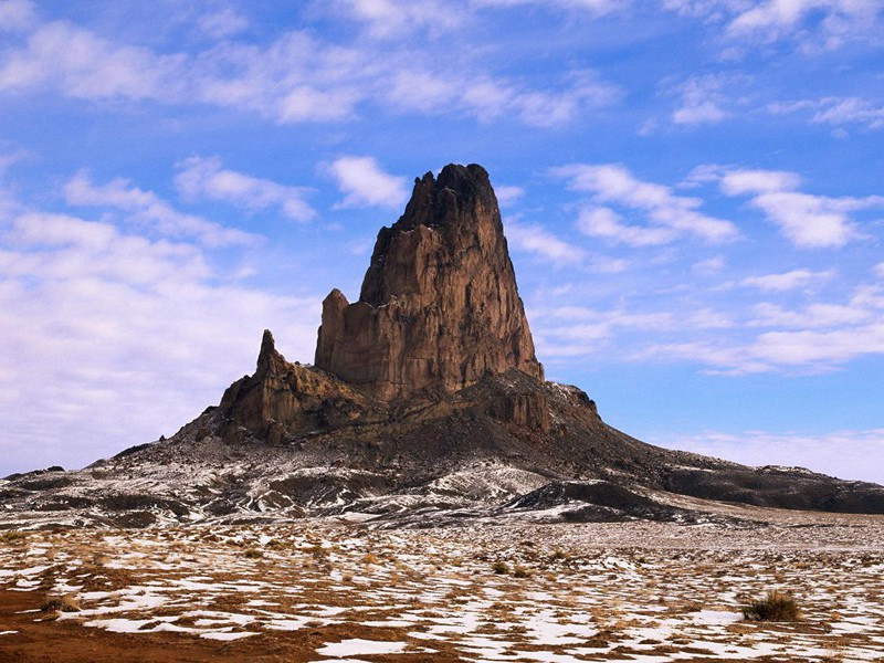 年仅12岁韵古生物学创始人-奇特的孩童