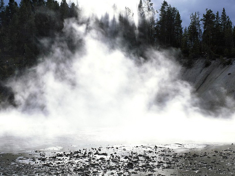 人鲨同嬉奇闻-奇特的孩童