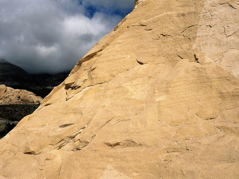 什么都吃的人-各色的奇人