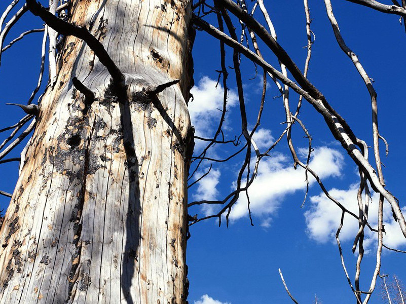 结婚百余次的女人-各色的奇人
