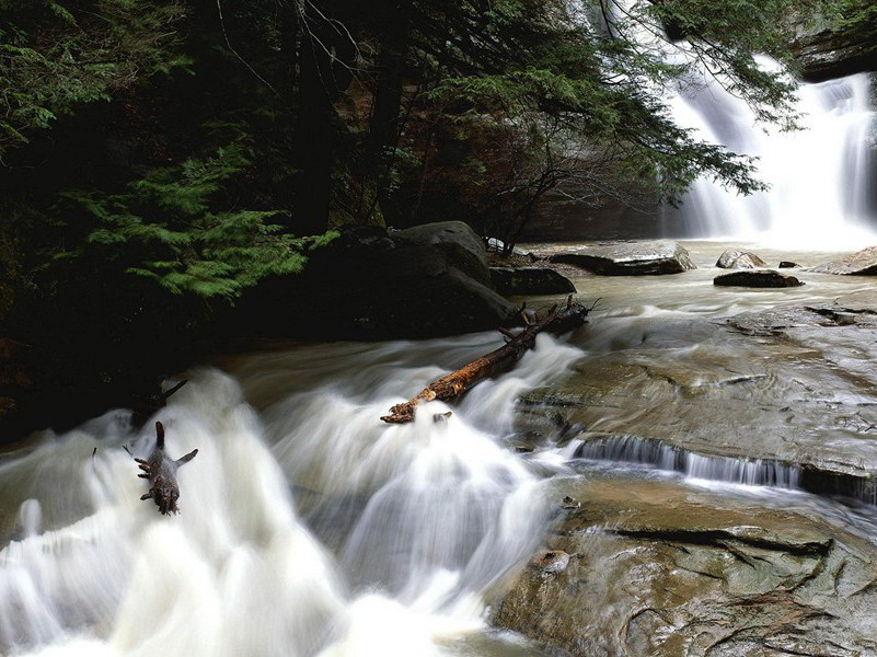 28岁当外祖母-各色的奇人