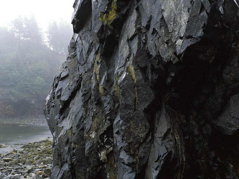 一对超重情侣-各色的奇人
