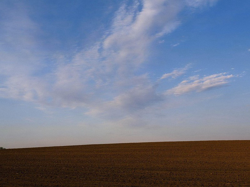 会变色的人-各色的奇人