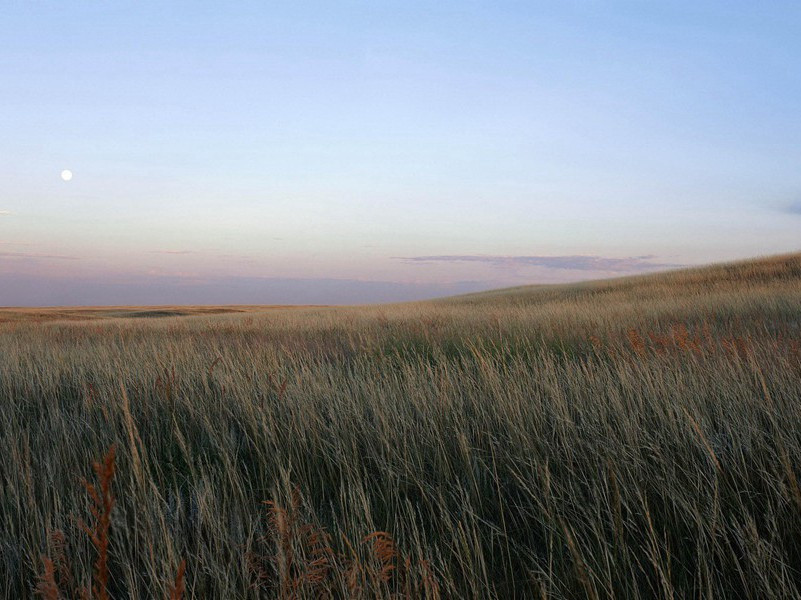 眼睛能喷射火焰-各色的奇人