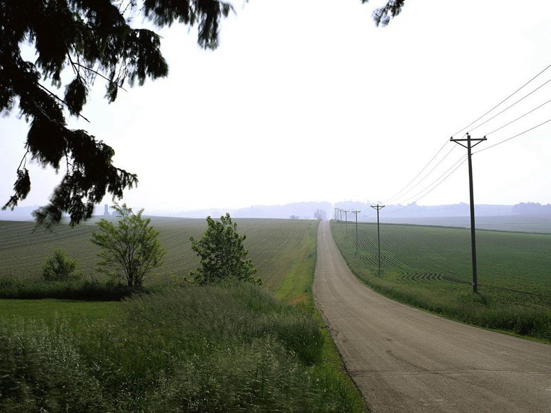 没有免疫功能的人-各色的奇人