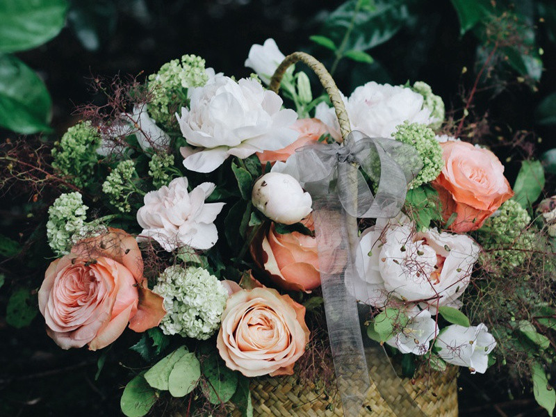 不能晒阳光的人-各色的奇人