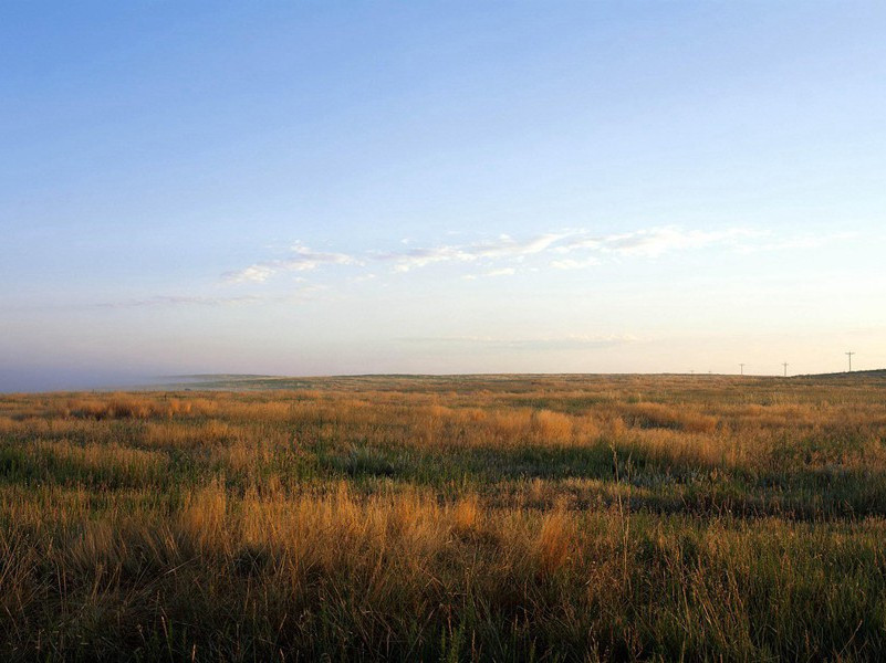百岁老翁长新牙-各色的奇人