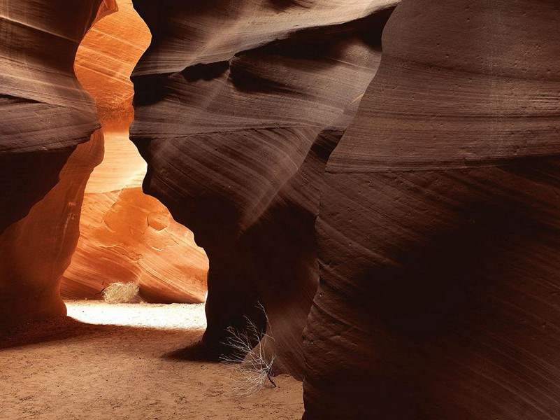 每年冬眠的人-各色的奇人