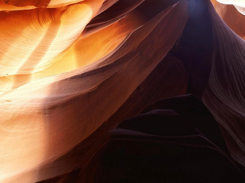 三天内连生两子-各色的奇人