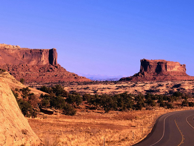 怀孕40年-各色的奇人