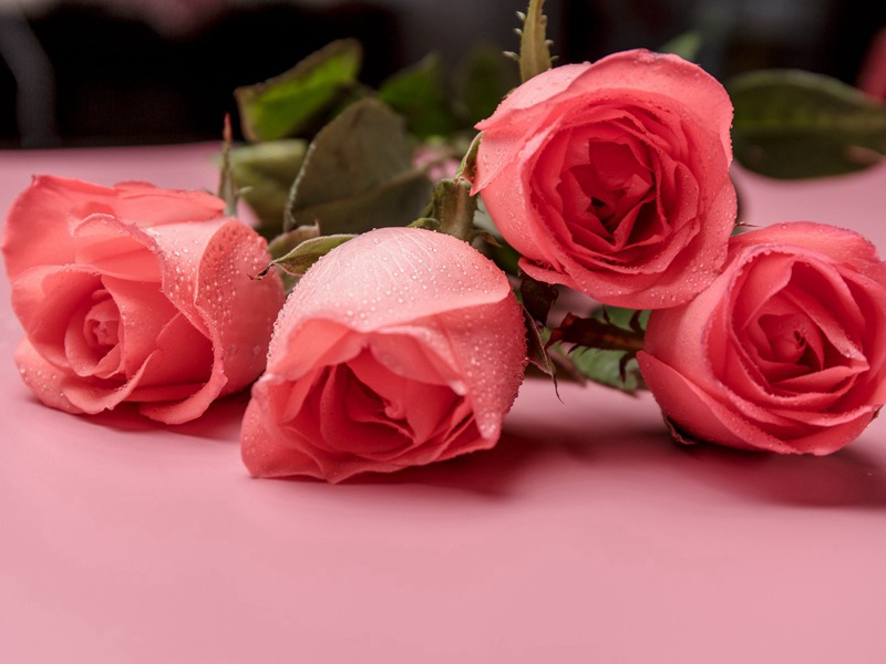 切除子宫又生育的妇女-各色的奇人