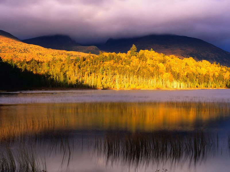 103岁生孩子-各色的奇人