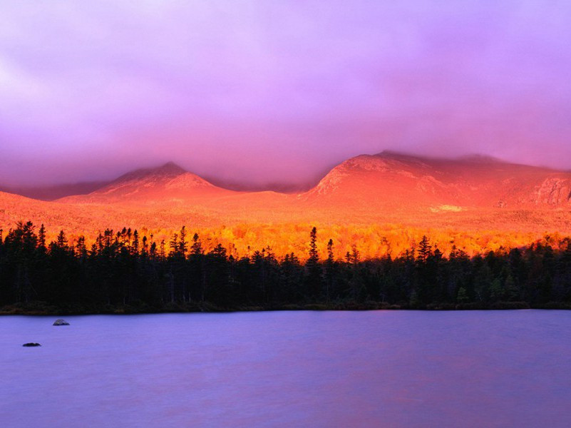 子弹在体内旅行-各色的奇人