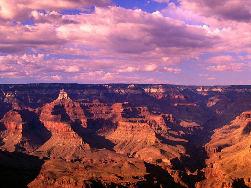 力气最大的女孩-各色的奇人