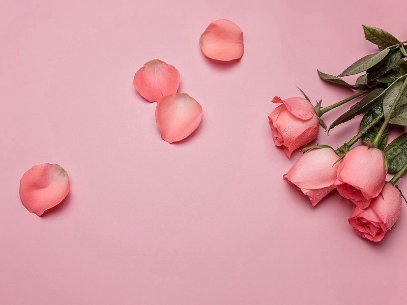 肤色绿如树叶的人-各色的奇人