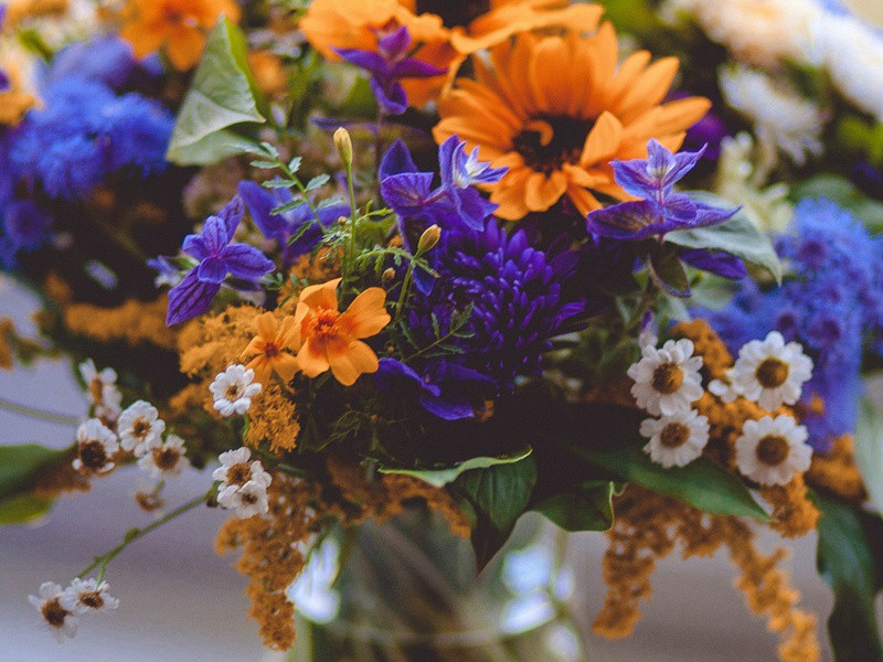 爱吃泥土、岩石的人-各色的奇人