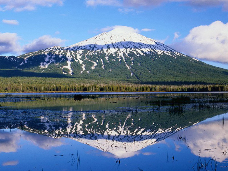 一觉睡了20年-各色的奇人