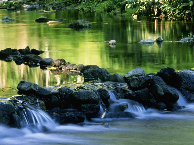 雪埋30日靠吃衣服充饥的人-各色的奇人