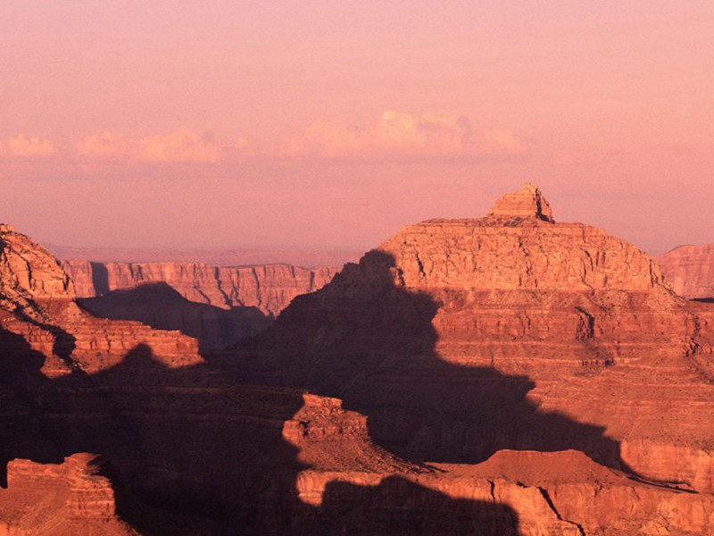 食草成性-各色的奇人