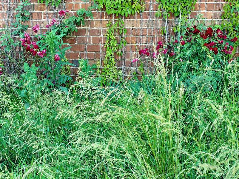 每天吃核的人-各色的奇人