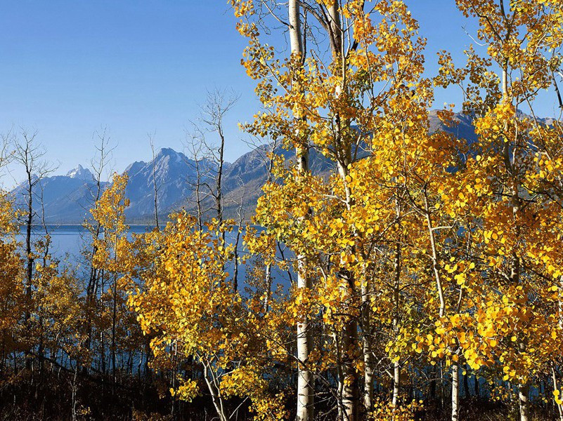 能生孩子的男人-各色的奇人
