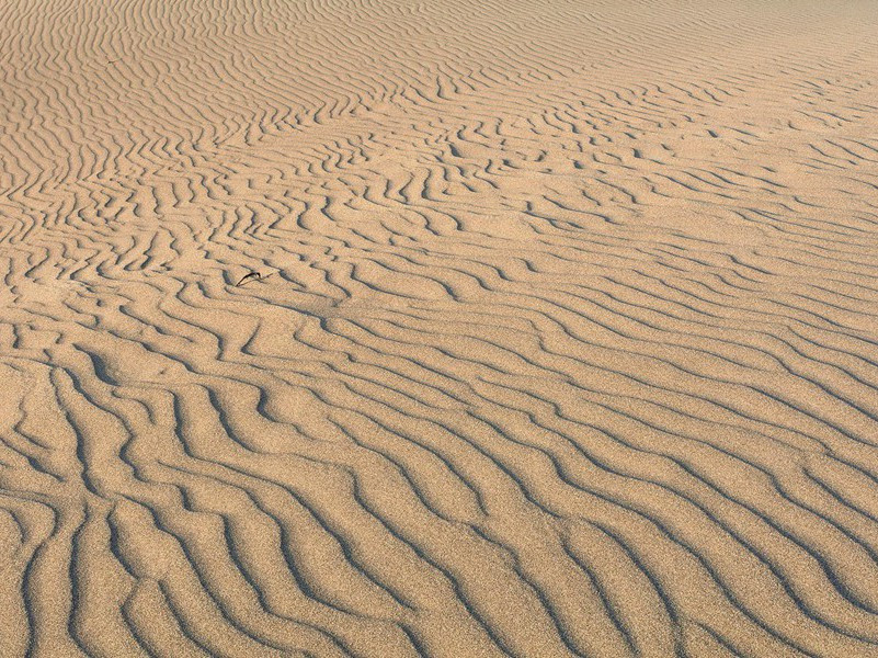 死后仍能生育的妇女-各色的奇人