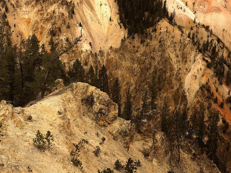 下肢麻痹驾飞机-各色的奇人