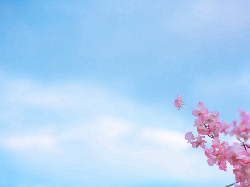 双面美人-各色的奇人