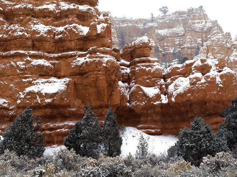 连续游泳1600米的三岁小人-各色的奇人