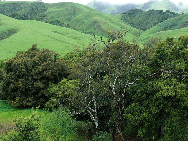 八岁当议员-各色的奇人