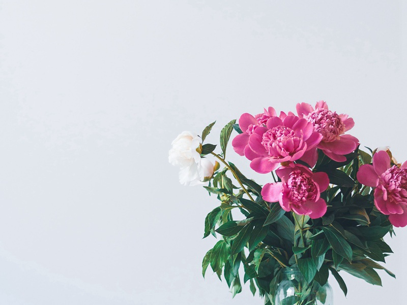 在浴缸里生活43年-各色的奇人