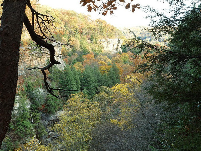 由男性变女性-各色的奇人