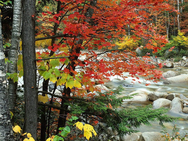 由女性变男性-各色的奇人