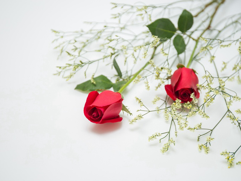 身高2.32米的女人-各色的奇人