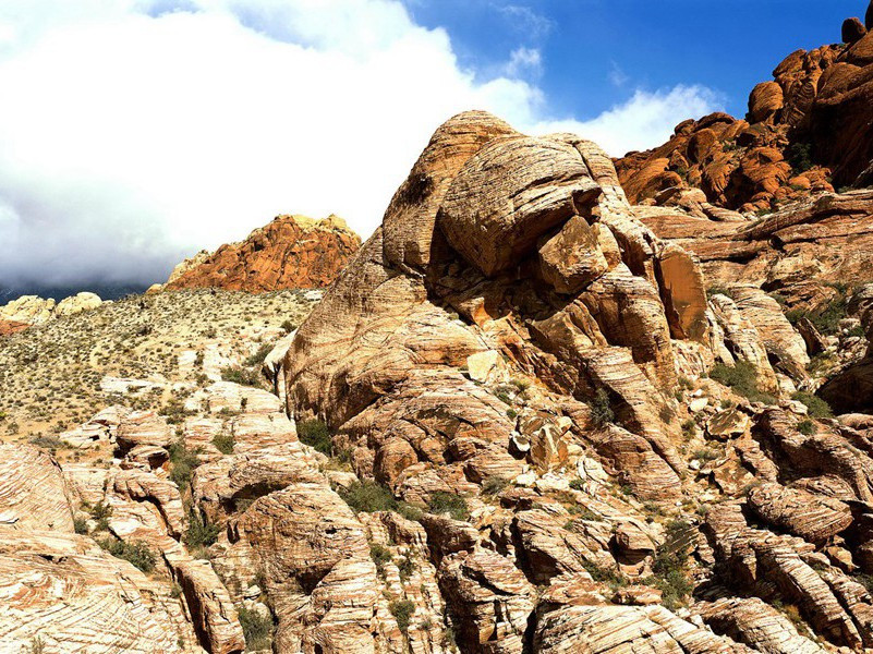 死而复生-各色的奇人