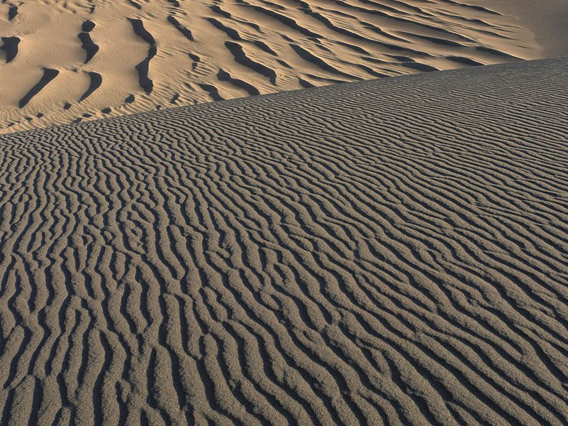 “藏进”冷柜20天解冻复活-各色的奇人