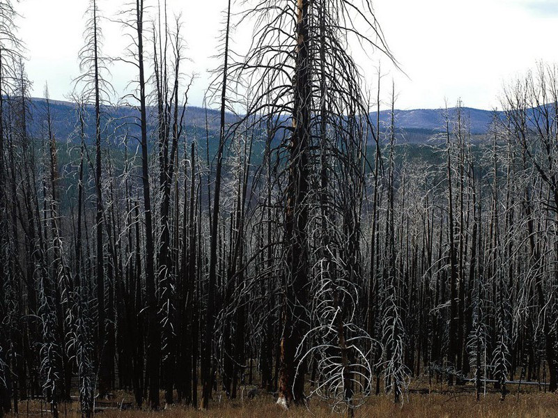 钟人-各色的奇人