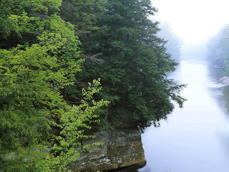 与百条毒蛇共处一室-各色的奇人