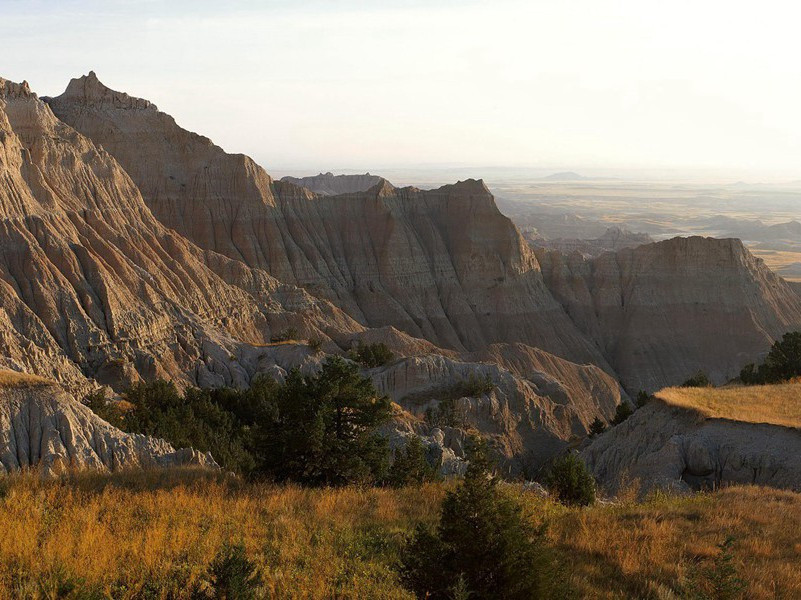 树居人-各色的奇人