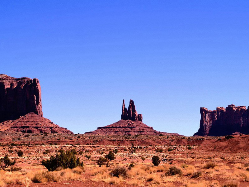 “穿山甲”人-各色的奇人