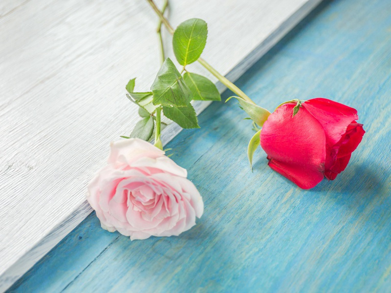 96岁任银行总裁的女人-各色的奇人