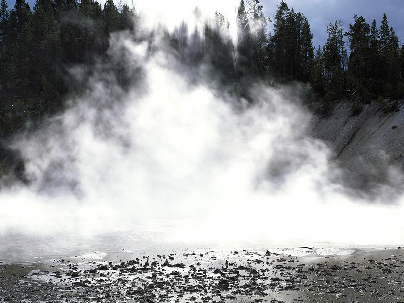 双头人-各色的奇人