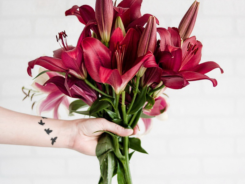 噪音如雷的人-各色的奇人