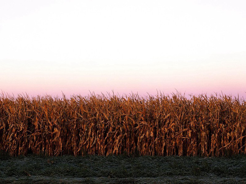 三天不睡，一睡三天的老人-各色的奇人