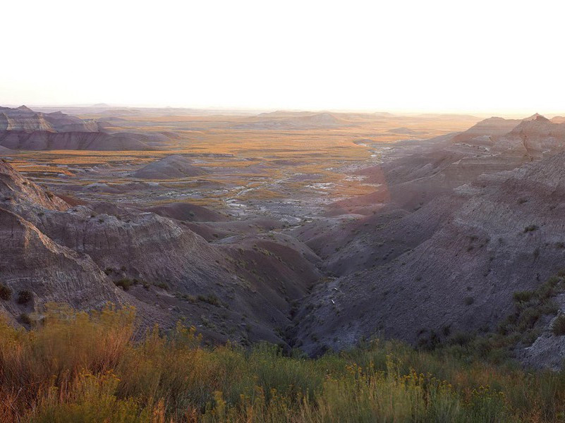 袖珍人-各色的奇人