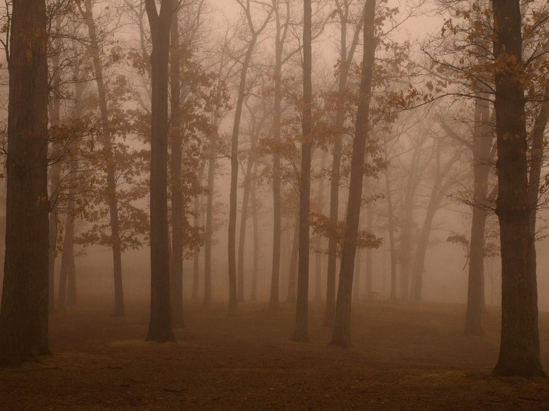 头上长角-各色的奇人