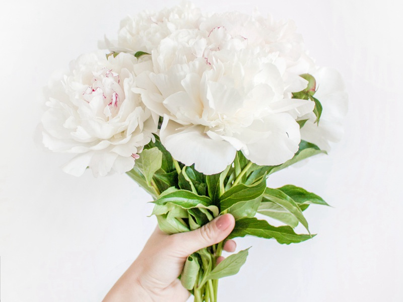 额上长角-各色的奇人