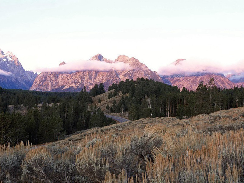 双手能吸附物体-各色的奇人