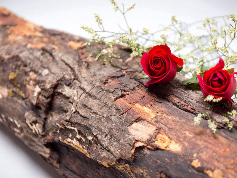 受雷击次数最多的人-各色的奇人